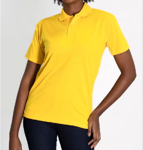 camisa tipo polo dryfit