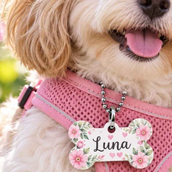Placa para mascotas con nombre